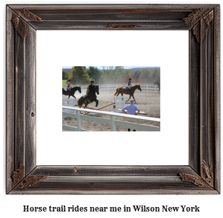 horse trail rides near me in Wilson, New York